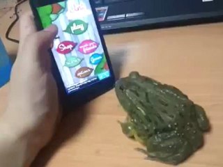 Bretkoca duke luajtur ne touch screen