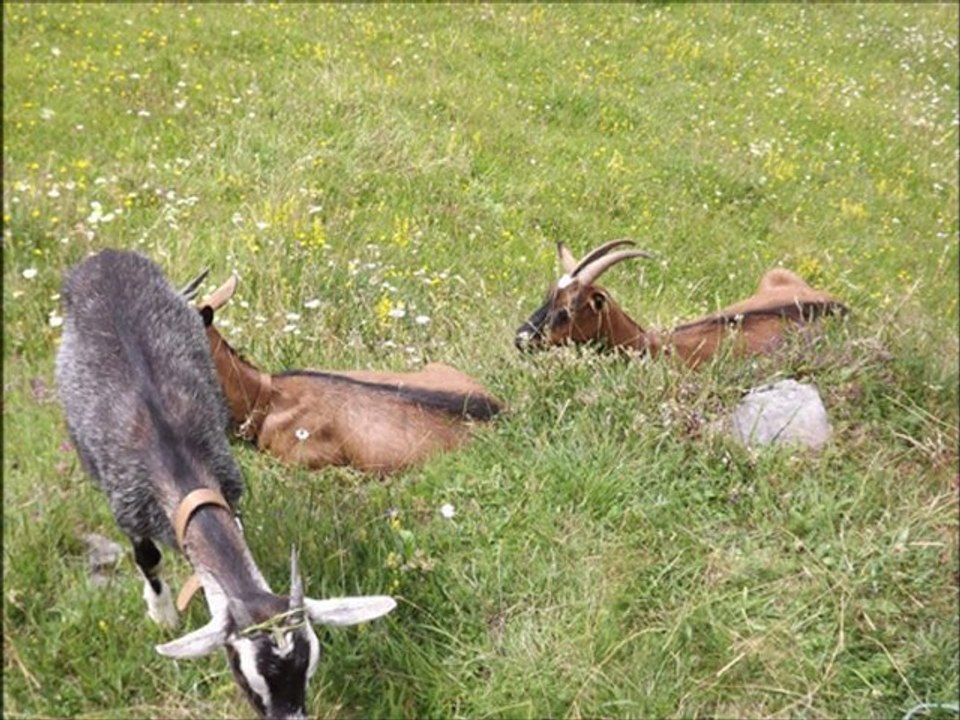 année 2012 vallée du mars