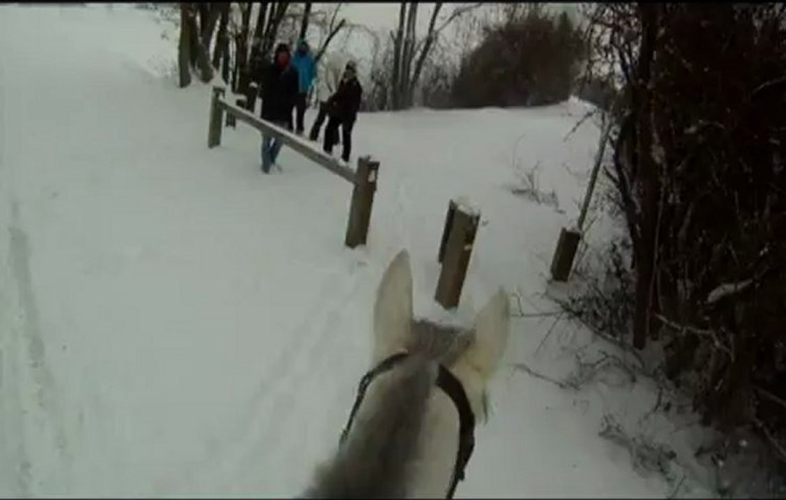 trot dans la neige (1) 20.01.13