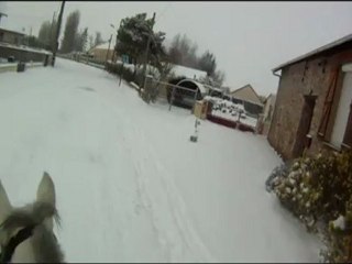 le poney des neiges: pratique et écologique 20.01.13