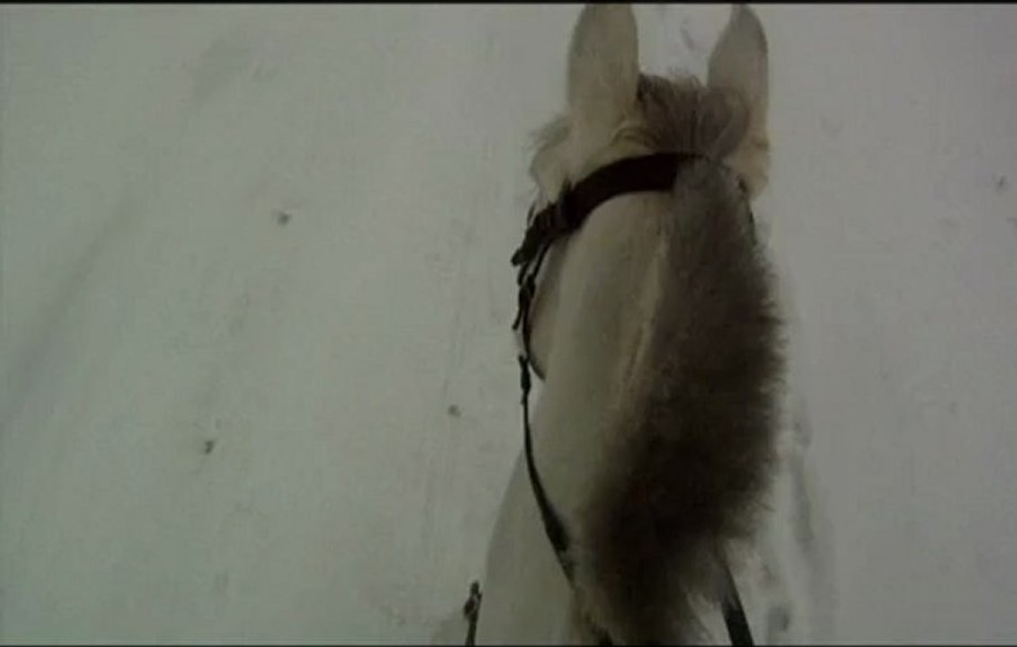 trot dans la neige (2) 20.01.13
