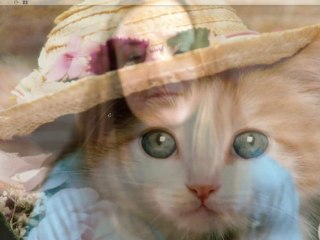 Websérie Inbox - Indécise