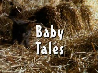 Les Bébés Animaux / National Geographic / Les 25 Plus Beaux Films