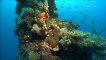 Coral Reefs & Climate Change