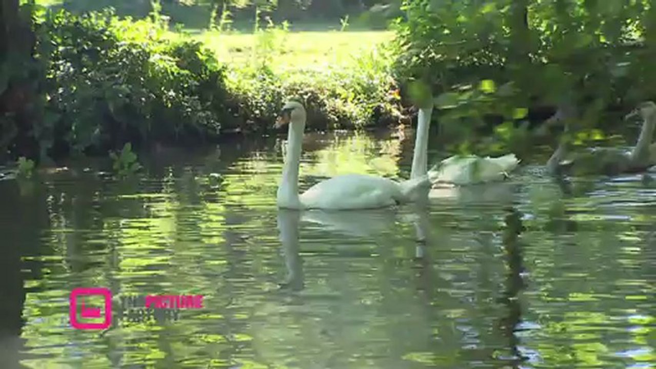 Journée Mondiale des Zones Humides