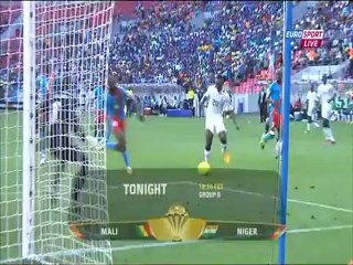 كان 2013 - غانا 2-2 الكونغو