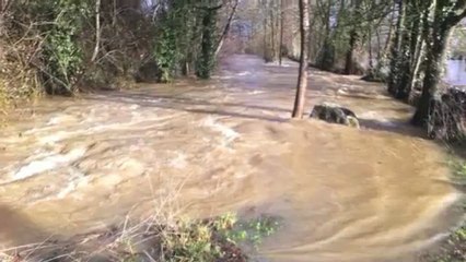 Bigorre : Inondations 20 janvier 2013