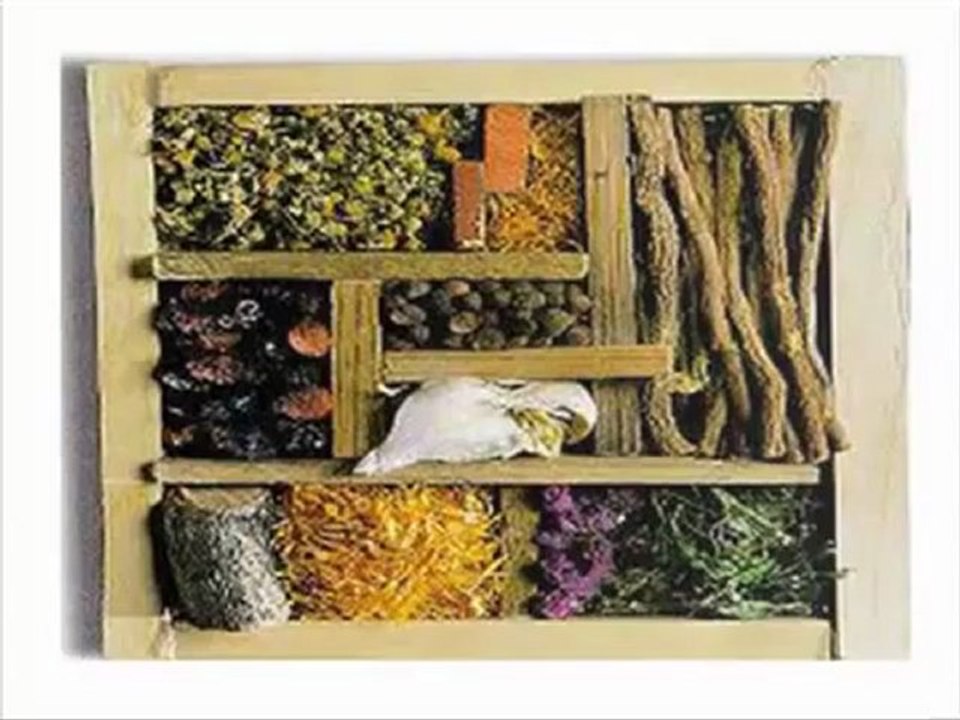 Hair Growth Treatment : Ayurvedic Home Remedies for Hair Fall