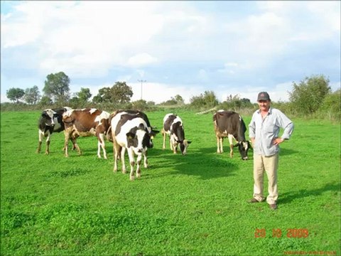Yapay cayır mera tohumu nasıl ekılır,Yapay cayır mera tohumu nerde satılır