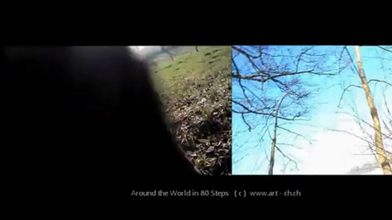 Around the World in 80 Steps