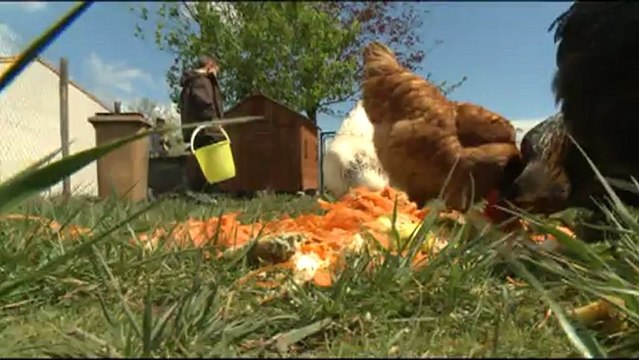 Une collectivité réduit les déchets dans ses centres de loisirs