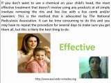 Herbal Remedies Reviews : The Best Head Lice Remedy Review