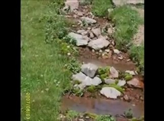 Terkettim köyümü yar senin olsun ˜