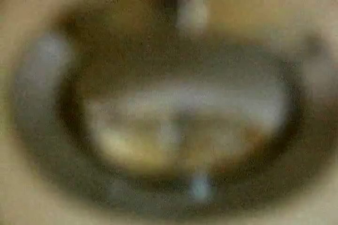 Zenton