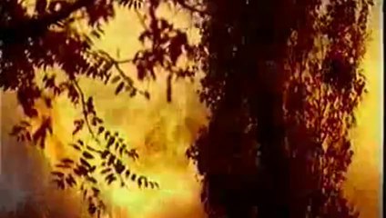 Oglinda - Adevarul despre Maresalul Ion Antonescu cd.2