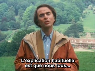 Des arbres et des humains. Brève histoire d'une même famille.