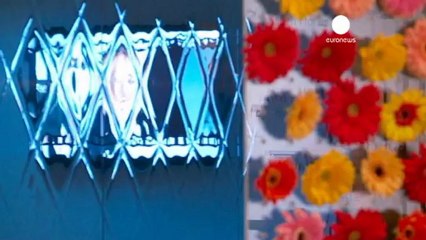 French cinema enjoys success