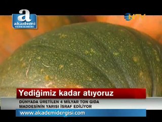 İnsanlar boşuna açlık çekiyor. Dünya genelinde üretilen gıdanın yarısı çöpe atılıyor