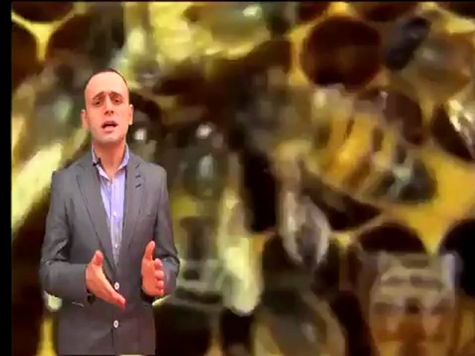 BAL ARISINDAKİ HABERLEŞME