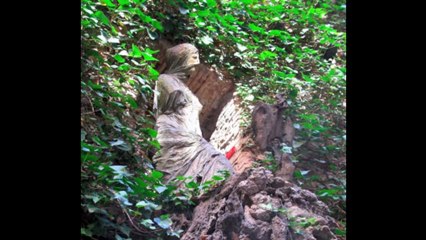 Badalona, Barcelona and Dali Museum