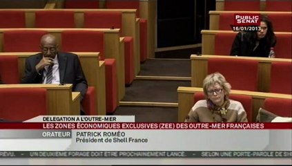 Audition,Audition de Patrick Roméo, PDG de Shell par la délégation sénatoriale à l'outre mer