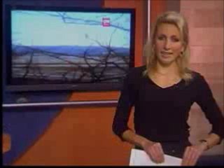 Steubenville Bridge to Weirton Destroyed