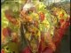 Kasika - Mardi gras à Basse Terre / L'indianité