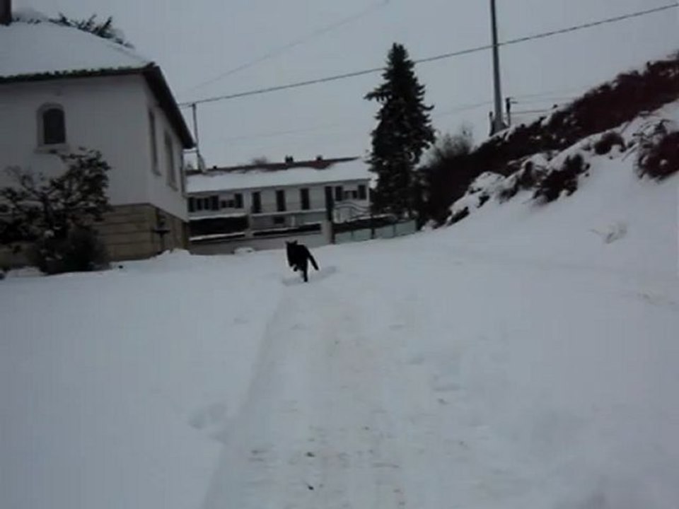 Kimy neige 2013