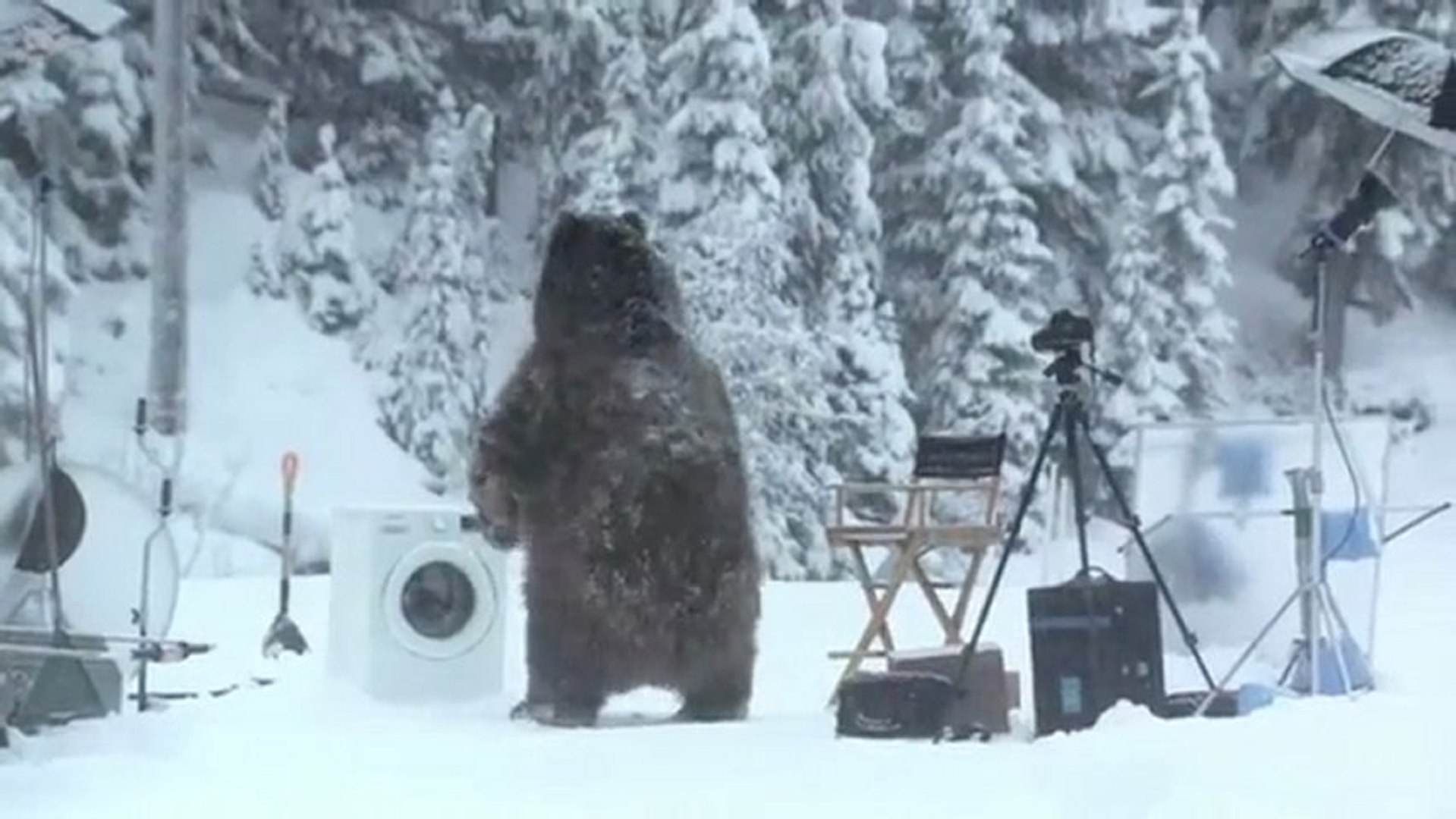 Un ours interrompt le tournage d'une pub de Samsung ! - Vidéo Dailymotion