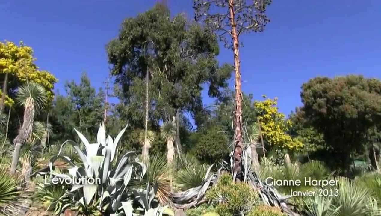 Gianne HARPER - artiste peintre - paysage réaliste - L'evolution