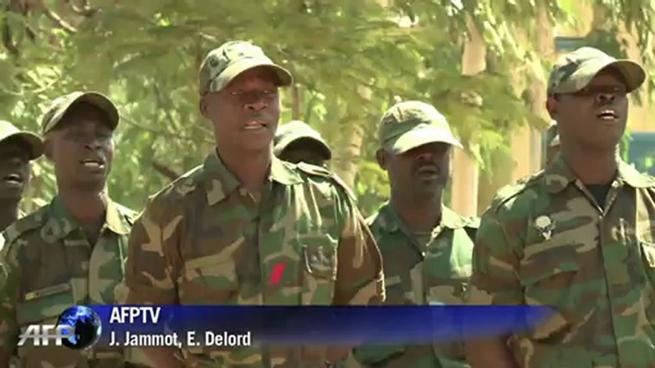 Mali: une délégation de la Cédéao arrive à Bamako