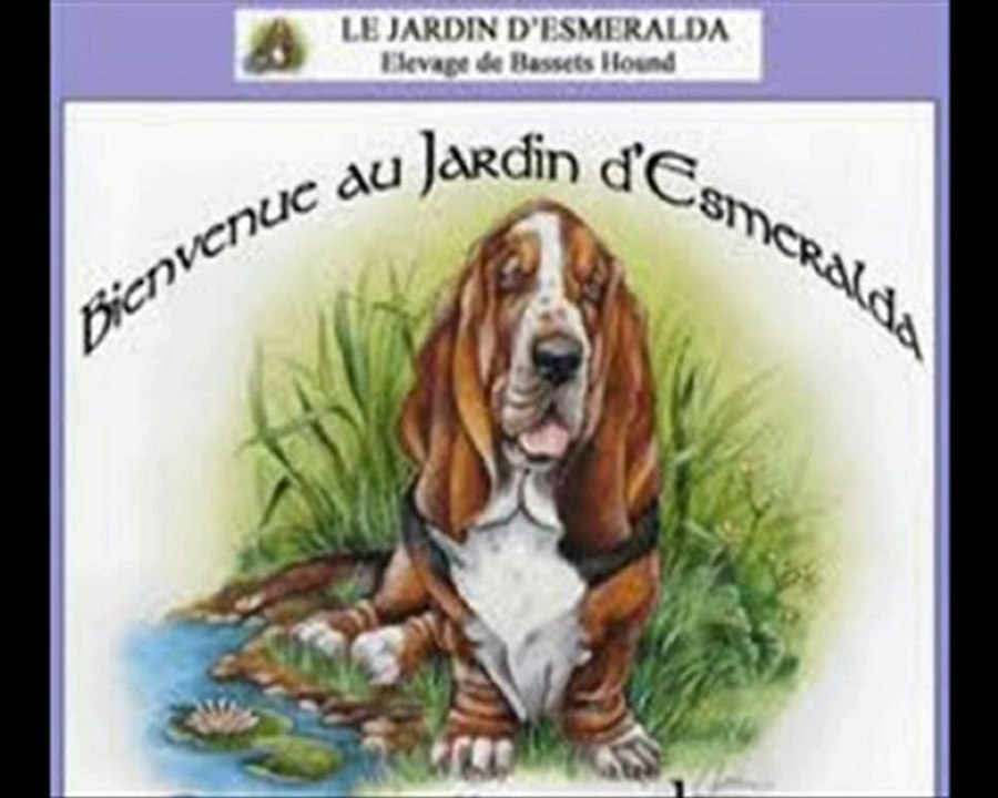 Chanson BELLE Notre Dame de Paris