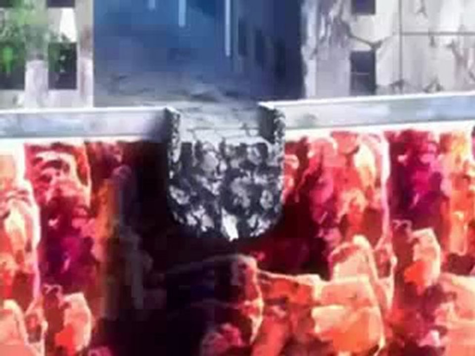 La Ley de Ueki Capitulo 37 castellano completado