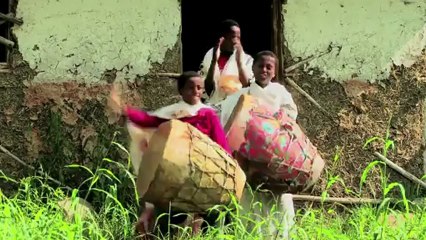 Natty - Afrika