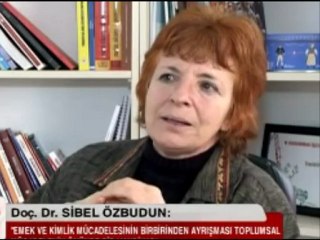 Yeni Anayasalar Neo Liberalizmin Masraflarını Cemaatlerin Üzerine Yıkma Projesi
