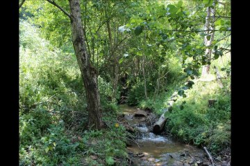 Isa dhe Hamz Llapqeva - Nizet e kater Pashallar