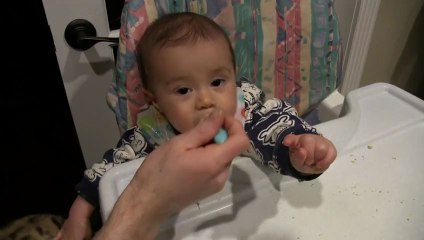 Rumble & the Baby - Sticky Hands are Still Good for Petting Linus Cat Tips
