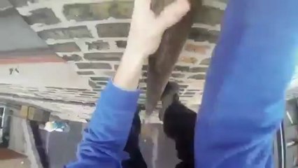 Saut entre deux immeubles