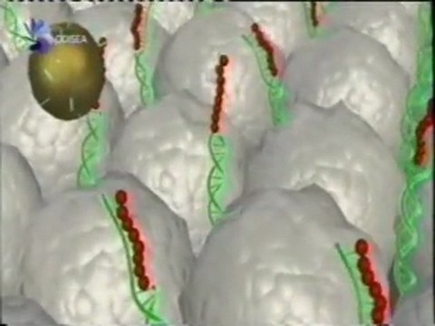 Nanotecnologia: Diagnostico genetico (ADN)