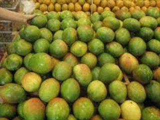 African mango active