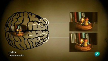 Cerebro e intuicion: Elsa Punset