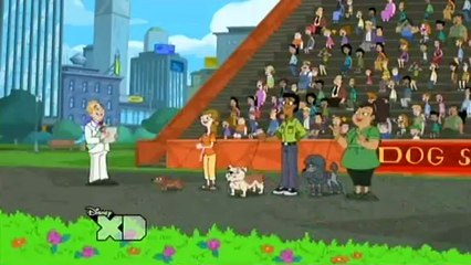 Phineas Et Ferb - song french - cours candace cours