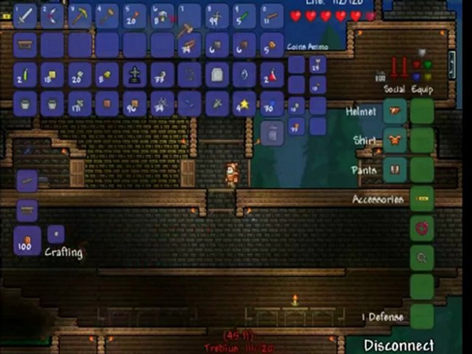'Weißt du, was ich vergessen habe?' 'Deine Würde?'- Terraria 11 - Two Idiots Gaming