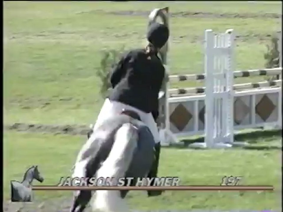 Jackson St Hymer a la  finale des cycles classique poney D  6 ans Fontainebleau 2003