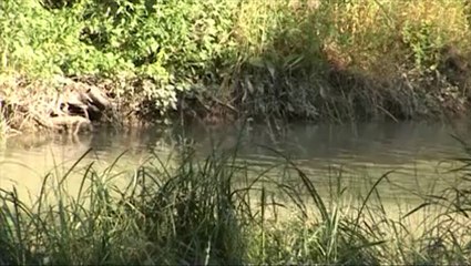 Maison des Arts : Juliette Le Roux  - 100 jours, + 17 (2012)