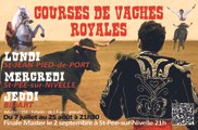 Courses de Vaches Royales à Bidart (64)