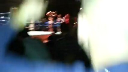 Berat Osmani - Thai Box