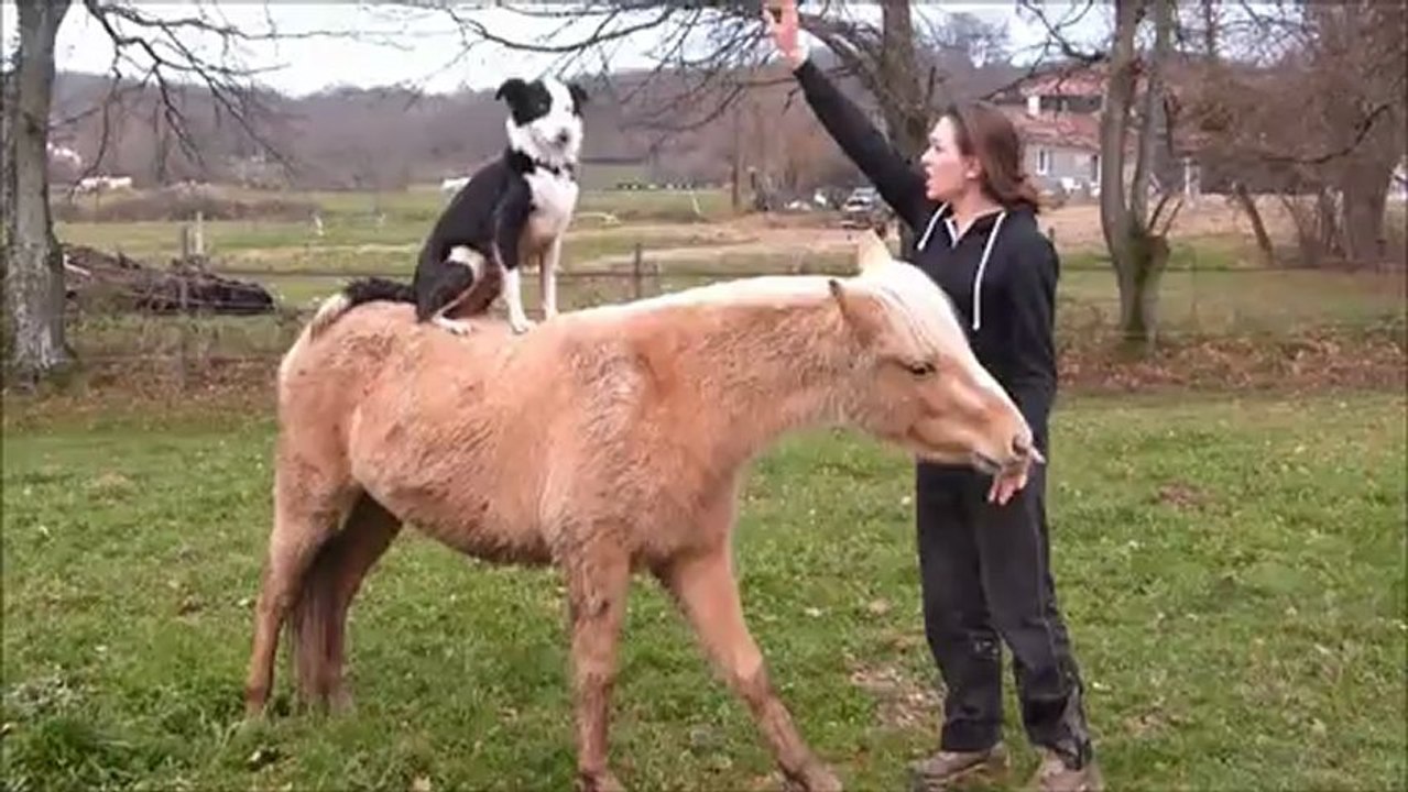 Altaya, Pré-débbourage, jeux et travail à pied !