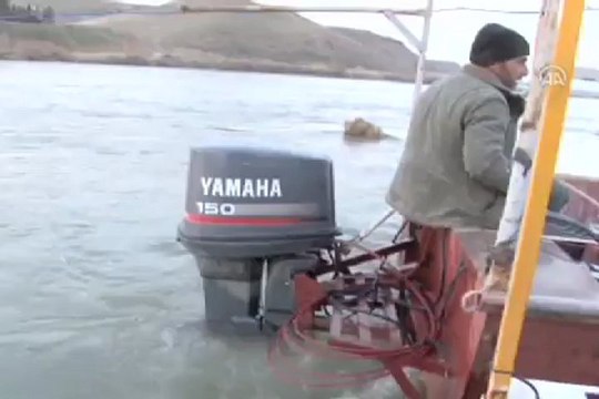 İnsanlık köprüsü