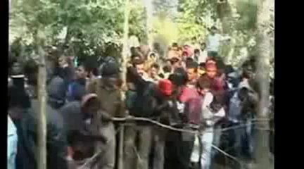 sauvetage d'un bébé éléphant bombé dans un puit